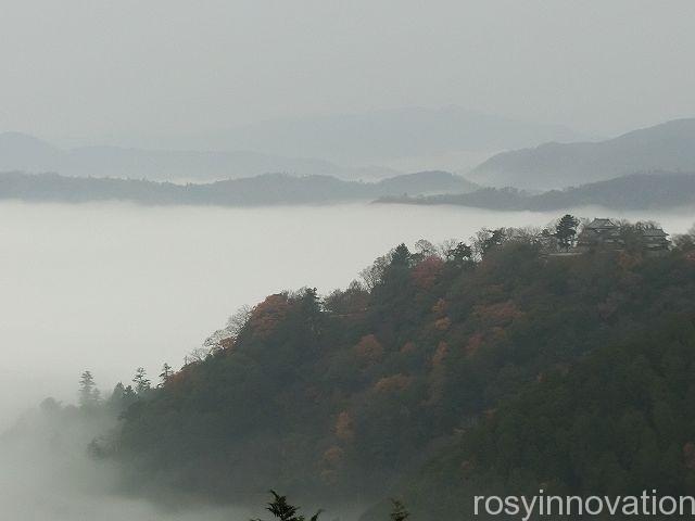 備中松山城雲海１１　雲に浮かぶ