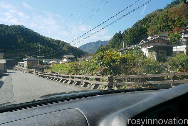 備中松山城３１　猿